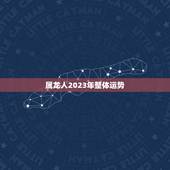 属龙人2023年整体运势，2021属龙的全年运势