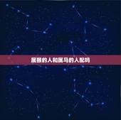 属猴的人和属马的人配吗，92属猴和90属马婚姻
