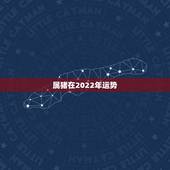 属猪在2022年运势，2022属猪人的全年运势如何