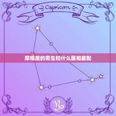 摩羯座的男生和什么属相最配，摩羯座男生属什么最多