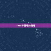 1985年属牛的婚姻，1985属牛女和1985年属牛男配吗？