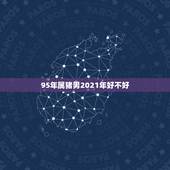 95年属猪男2021年好不好，2021属猪男全年运势1983