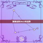 属猪运势2022年运势，1983年猪男在2021年的每月的运势