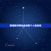 婚姻配对网站会窃取个人信息吗，如果不小心浏览了不良网站，信息会泄露吗？