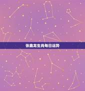 张鑫龙生肖每日运势，徐墨斋12生肖一周运势