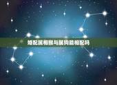 婚配属相猴与属狗能相配吗，属狗和属猴的可以配对吗？