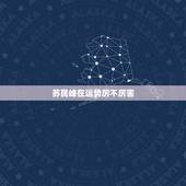 苏民峰在运势厉不厉害，苏民峰2023年生肖运程？