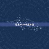 己土2022辛丑年运，己土身弱走辛丑流年