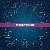 1998年的虎什么命，1998年属虎的人什么命