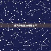 生肖羊和鼠的婚姻怎样，羊鼠在一起能成夫妻吗
