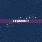 属相兔和虎婚配好吗，属兔和属虎的婚配吗？