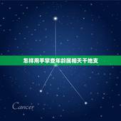 怎样用手掌查年龄属相天干地支，年龄生肖怎么算