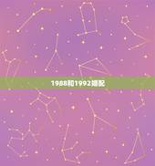 1988和1992婚配，女1988年龙和男1992年猴相配吗？