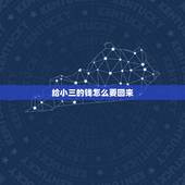给小三的钱怎么要回来，小三没收入，买房子拿的现金没证据能要回吗