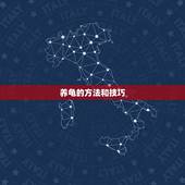 养龟的方法和技巧，如何正确饲养乌龟？