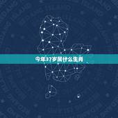 今年37岁属什么生肖，26生肖是什么生肖
