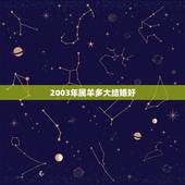 2003年属羊多大结婚好，2003年属羊人的命运