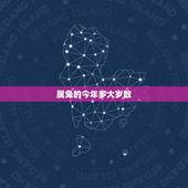 属兔的今年多大岁数，属马的今年多大