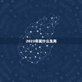 2023年属什么生肖，2023年属兔五行属什么