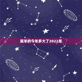 属羊的今年多大了2022龙，属老鼠的今年多大了2022 年