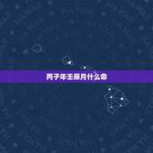 丙子年壬辰月什么命，八字看谁是你的正缘