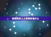 属相狗的上上等婚配是什么，属狗的最佳配偶属相