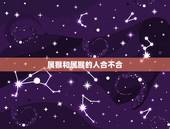属猴和属猴的人合不合，属猴和属猴的能配吗？