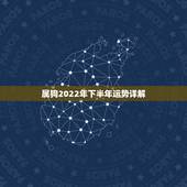 属狗2022年下半年运势详解，2022 属狗人全年运势1982