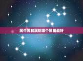 属牛男和属蛇哪个属相最好，属蛇和属牛的人在一起好吗