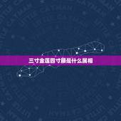 三寸金莲四寸腰是什么属相，三寸金莲四寸腰，是什么生肖？