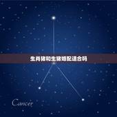 生肖猪和生猪婚配适合吗，生肖猪跟什么最配，属猪的属相婚配表