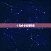 牛和虎相配吗婚姻，牛和虎能结婚吗？会白头到老吗？