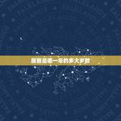 属猴是哪一年的多大岁数，属鸡的年龄表