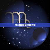 2001年属鼠是什么命，2001年出生命运如何