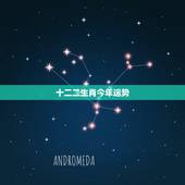 十二二生肖今年运势，十二生肖每月运势详解