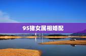 95猪女属相婚配，95年属猪女婚配表