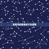 龙和马的属相合不合亲情，属龙和属马姻缘怎么样