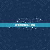 测你将来靠什么致富，测一测 十年之后你做什么