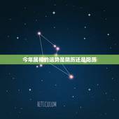 今年属相的运势是阴历还是阳历，生肖属相是按阴历还是阳历算？