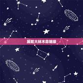 属蛇大林木命姻缘，大林木和海中金的姻缘