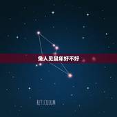 兔人见鼠年好不好，兔遇鼠年好不好
