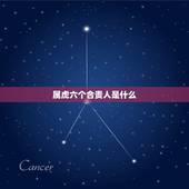 属虎六个合贵人是什么，属虎的三合贵人是什么？什么是三合贵人
