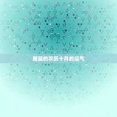 属鼠的农历十月的运气，十月属鼠的命运好不好