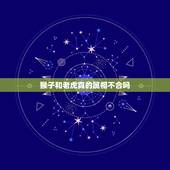 猴子和老虎真的属相不合吗，属猴的和属虎的属相相克吗