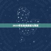 2023年双鱼座彻底大爆发，2023年双鱼座全年运势详解