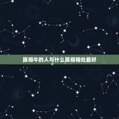 属相牛的人与什么属相相处最好，属牛的人和什么属相的人最能和得来呢？