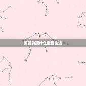 属蛇的跟什么配最合适，属龙和什么属相最配