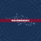 男鼠女狗婚配值是多少，男属鼠女属狗配吗_鼠和狗配吗？