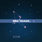 熊神进一周生肖运势，哪位大师给指点下1989肖蛇2010年的运势