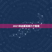 2021年凶星是哪几个属相，2021年犯太岁的5个生肖，需要注意什么？